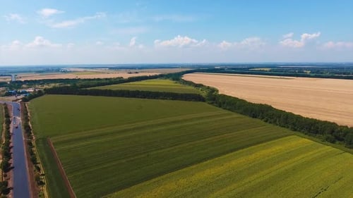 Beautiful green cropland near the highway. Diverse color farmlands limited by trees.