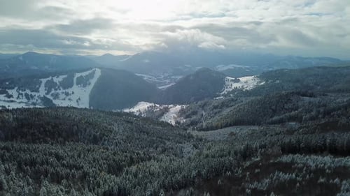 Vue aérienne d'hiver, forêt, paysage enneigé, volant au-dessus des sapins, des bois, ciel nuageux
