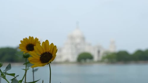 Victoria Memorial Hall This marble palace was established in Central Kolkata in 1921 by the British