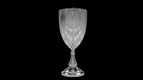 3D Silver Cup Alpha Loop