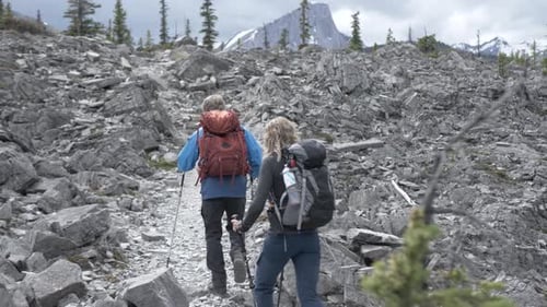 Hers Climbing Up Rugged Rocky Mountain Slope Adult