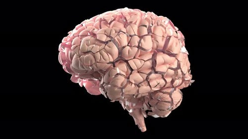 Brain Explosion Headache Dementia Concept on Black Bg