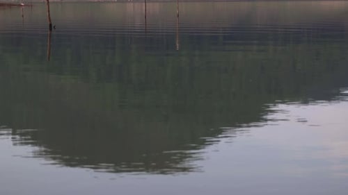 Bewegte Wasseroberfläche eines Sees mit abgestorbenen Baumstümpfen und Spiegelung von grünem Berg, blauem Himmel und