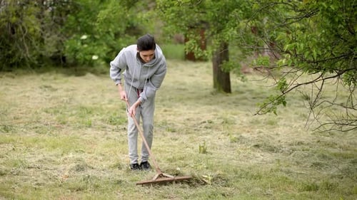 Hardworking Teenage Boy Raking Dry Grass in Garden Diligent Adolescent Boy Gathering Dry Grass with