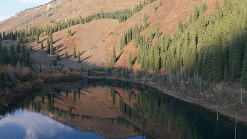 Scenic Landscape with Vibrant Trees Reflecting in Tranquil Water Camera Pans
