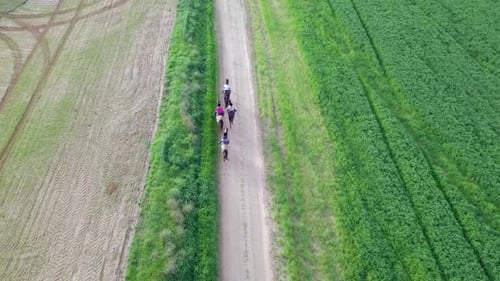 Horseback riding in a green Badlands terrain - Top down aerial footage.