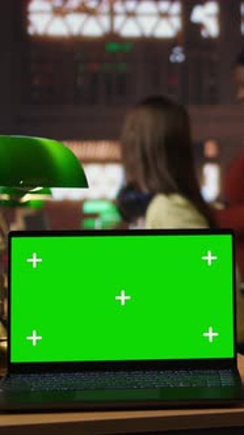 Vertical Video Girls and Librarians Focused on Literary Analysis Essay Next to Chroma Key