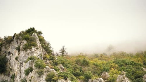 Rocky Mountain Cliffside with Soaring Bird