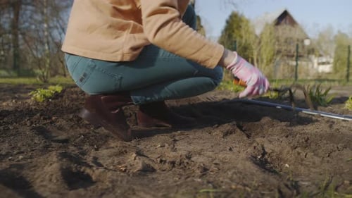 Loosening the soil and Weeding Close Up