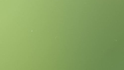 Canvas Collection: A green color background with vintage film rolling effect