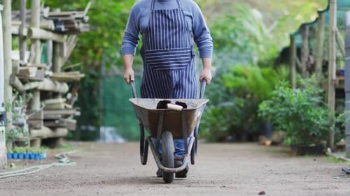 Caucasian male gardener walking with wheelbarrow at garden center