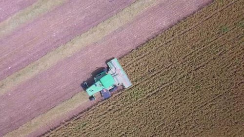 Luftaufnahmen eines Mähdreschers bei der Ernte eines grünen Weizenfeldes