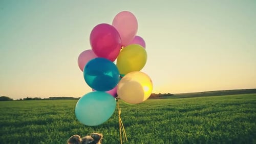 Little Girl with Balloons in the Field
