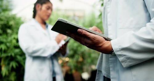 Greenhouse, hands and scientist with tablet for plant research, agriculture and crop inspection
