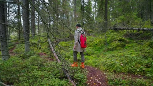 Traveler Man Walking Alone In Forest In Autumn Discovery And Adventure Of Tourist In Woodland