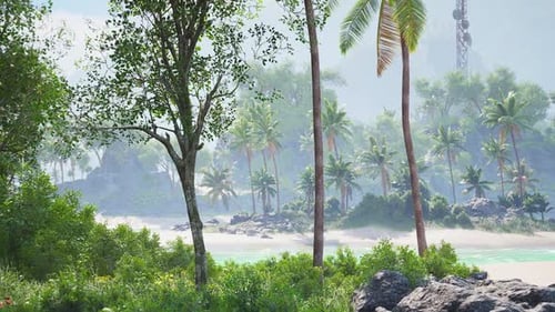 Serene Tahiti Landscape with Lush Greenery and Tranquil Beach in Daylight