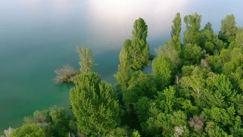 Aerial view of water reservoir with green trees
