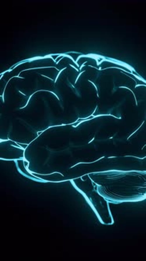 Neon Brain Vertical Rotation Futuristic Glowing Loop Animation Overlays. 3D rendering