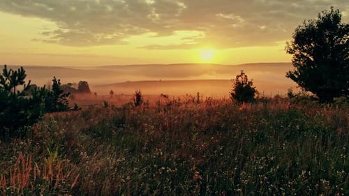 Sunrise over Rural Landscape with Mist and Meadow