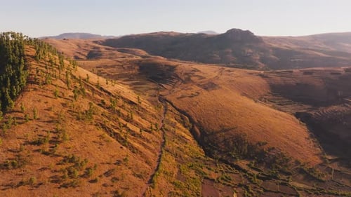 Wunderschöne Luftaufnahme eines Tals mit Bäumen an den Hängen Die Landschaft ist größtenteils getrocknet