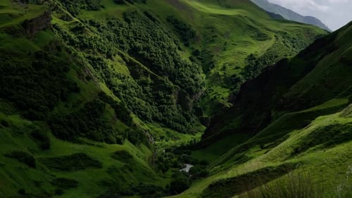 A Lush Green Valley with a River Running Through It