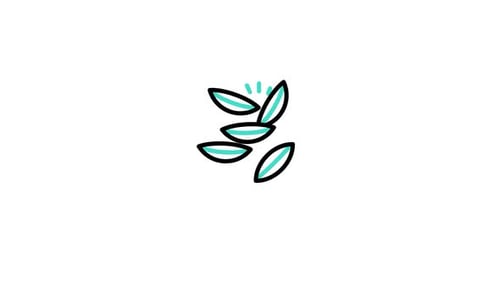 Caraway Animated Icon