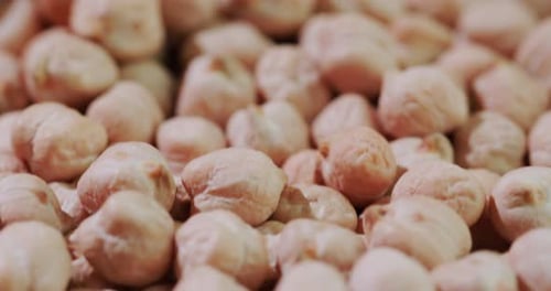 Pile of Raw Beige Chickpeas in Macro Detail