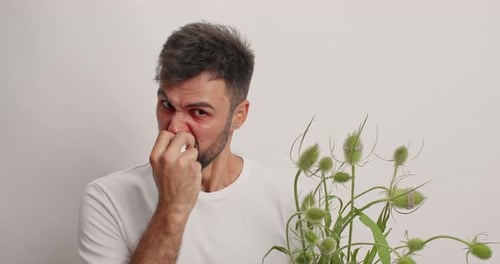 Hypersensitive Bearded Adult Man Suffers From Allergy Uses Nasal Spray Has Blocked