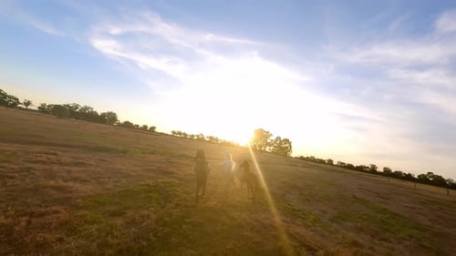 Manada de caballos corriendo por un campo