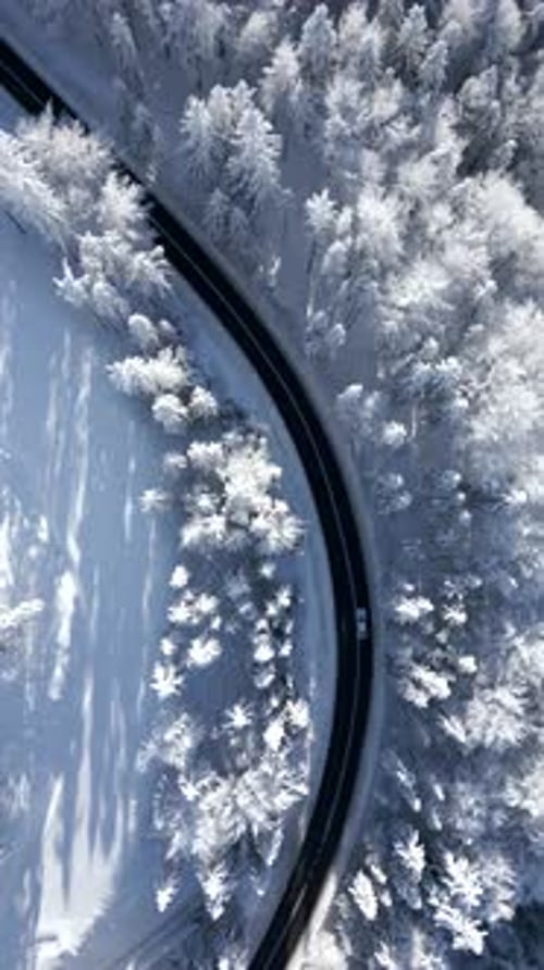 Top View of a Car Driving Through a Breathtaking Snowy Forest in the Mountains