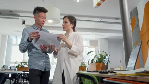 Dynamic Young Entrepreneurs Collaborating Over Project Papers in a Modern Office