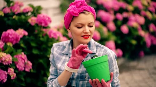 Woman Gardening Potted Plant amongst Blooming Flowers
