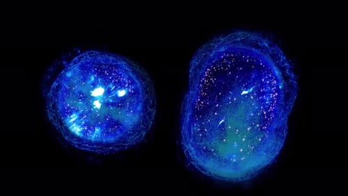 Abstract Blue Glowing Cell Division Animation