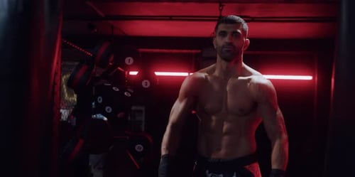 Boxer in a Gym