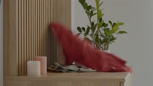 Messy home office with clothes scattered around and plants on the desk