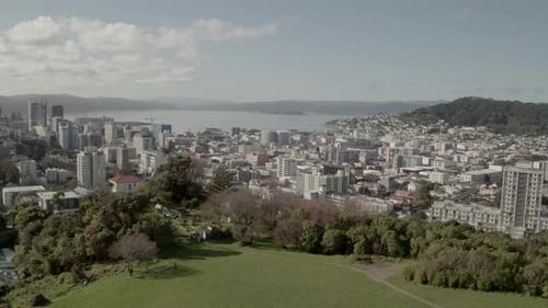 Wellington city and harbour, New Zealand