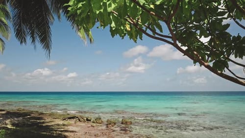 Tropical Beach with Palm Trees and Turquoise Water Framing a Beautiful Seascape