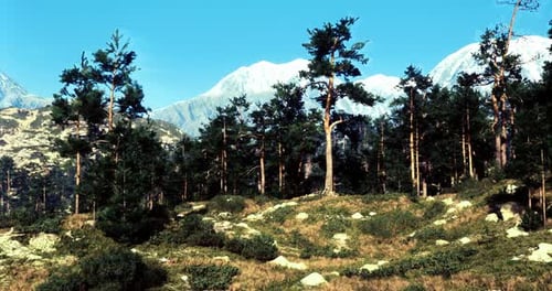 Scenic Mountain View with Lush Trees Under Clear Blue Sky