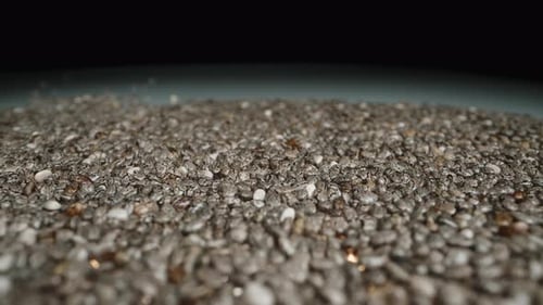 Close-up of Chia Seeds in Bulk