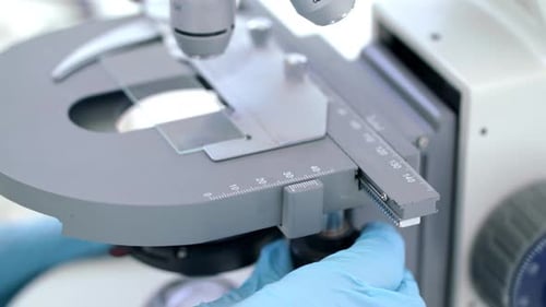 Adjusting Microscope Stage in Laboratory Setting
