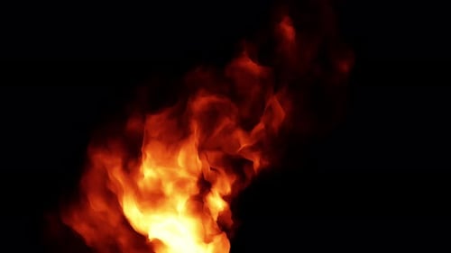 Majestic fire on a black background, slow motion, 4K.