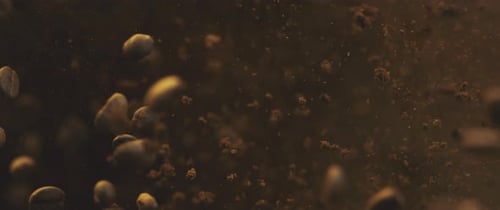 Animation von dunklen Kaffeebohnen