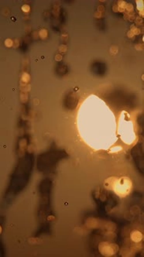 Water Droplets Reflecting Golden Sunset Light