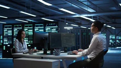 Developer and Coworker Overseeing Data Center