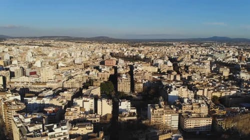 Zumbido sobrevolando Palma De Mallorca y girando lentamente.