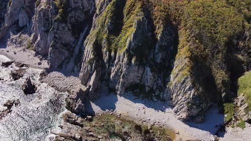 Bedrock Outcrop By the Ocean with Trees on Rocky Cliff