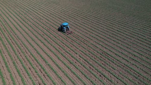 Agriculture field with tractor.