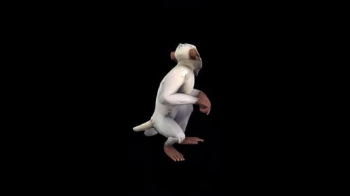 Monkey Protective
