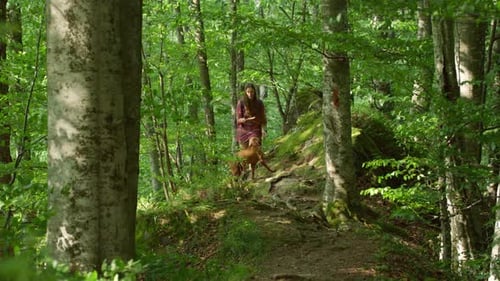 A serene walk in a lush green forest with a canine companion