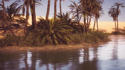 Serene Oasis with Palm Trees and Flowing Water in a Warm Desert Setting